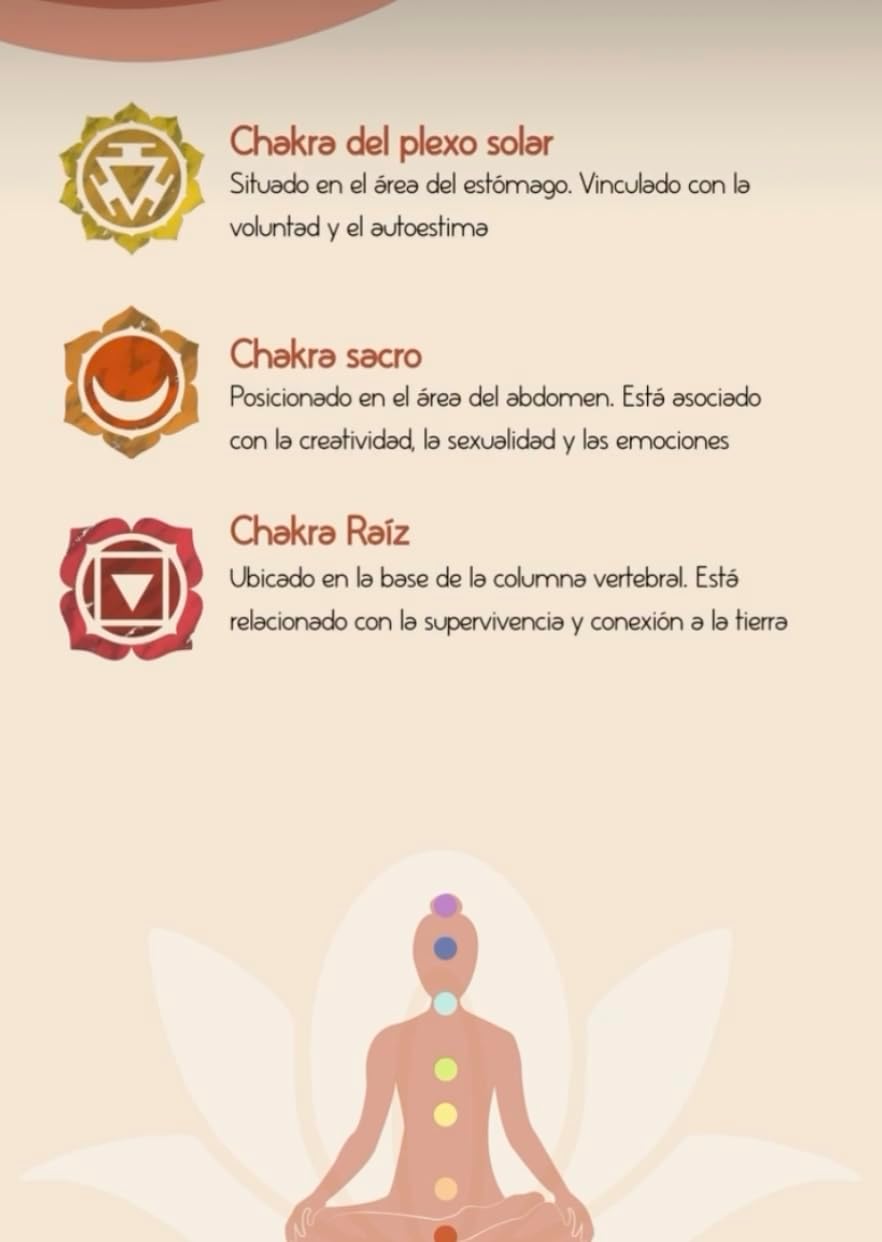 7 Chakras Handmade Incense Sticks 8 units per box (PACK OF 2 boxes) . Premium Quality. Esoteric Line - Nuna Terra